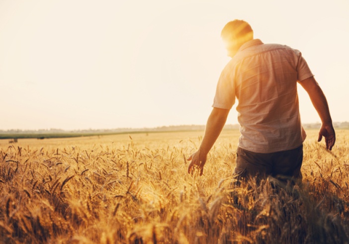 Illustration article : Agriculteurs : du nouveau concernant vos prestations sociales !