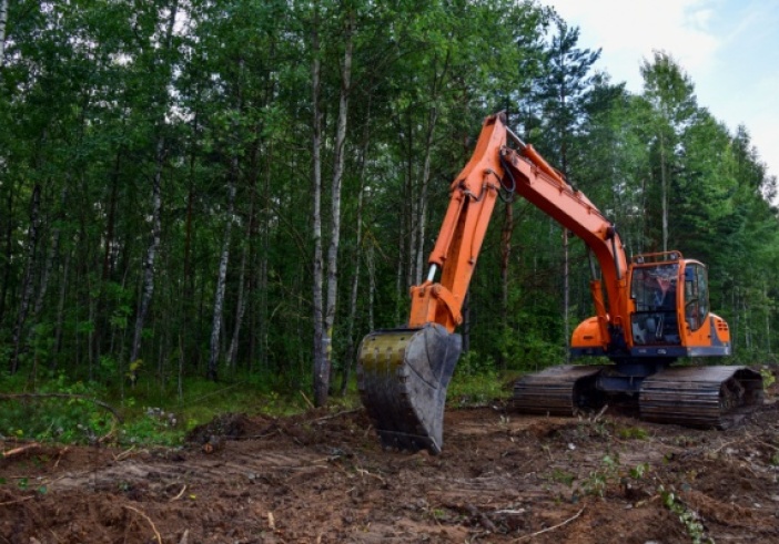 Illustration de l'article : Travaux de défrichement : ne pas aller plus vite que la musique…