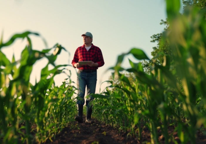 Illustration de l'article : Aides agricoles : de nouveaux montant et de nouvelles conditions