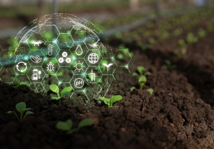 Illustration de l'article : Agriculture : qui pilote la stratégie nationale d’installation et de transmission ?