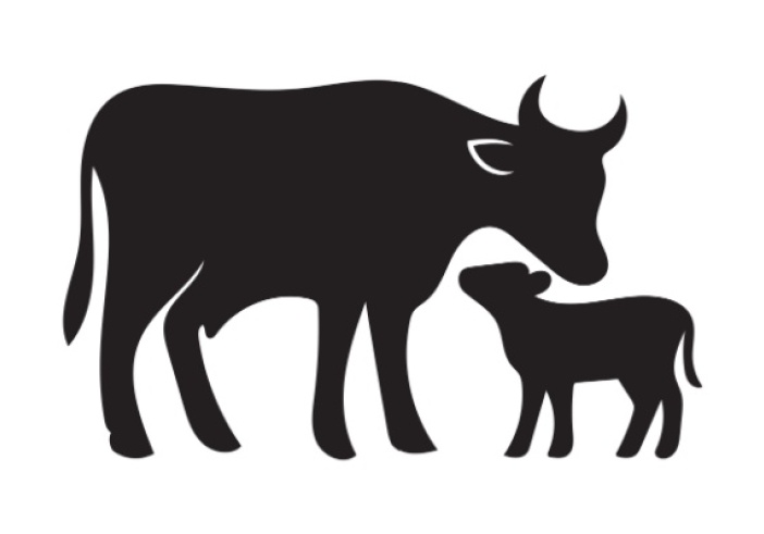 Illustration de l'article : Secteur agricole : le point sur les aides en juin 2026