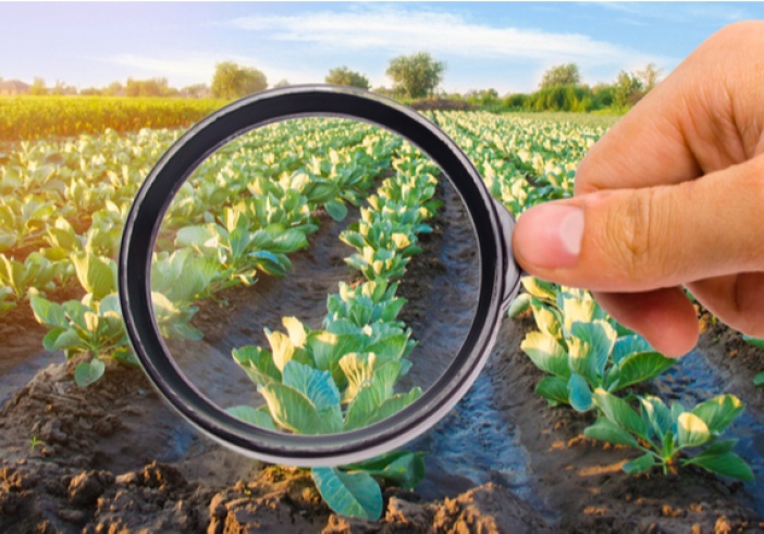 Illustration de l'article : Plan de soutien aux industries agroalimentaires : que contient-il ?