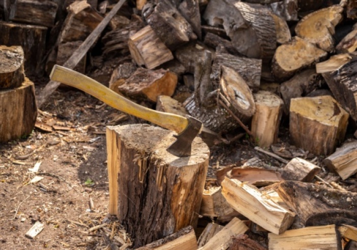Illustration de l'article : Régime fiscal des exploitations forestières : ça se précise pour le « forfait forestier » !