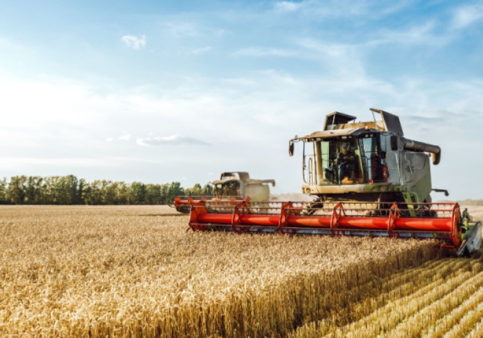 Illustration de l'article : Vente d’entreprise agricole : le statut, ça compte !