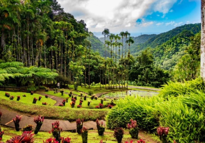 Illustration de l'article : Impôts et taxes en Outremer : ce qui va changer en 2026