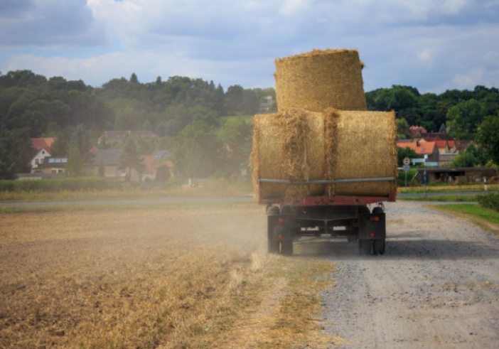 Illustration de l'article : Bail rural et indemnité d’amélioration en fin de contrat : des précisions du juge