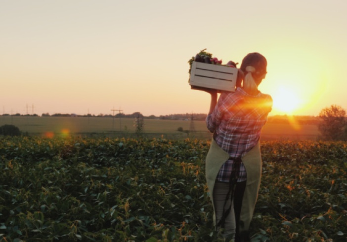 Illustration de l'article : Agriculteurs : des évolutions juridiques à connaître