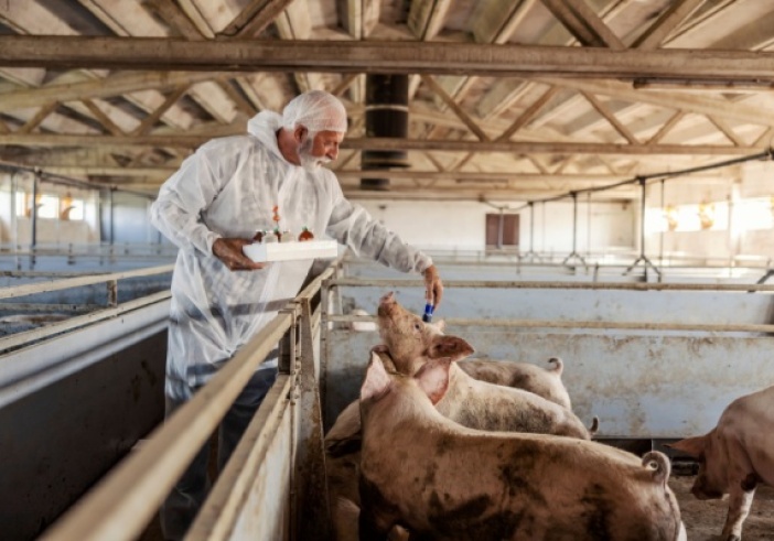 Illustration de l'article : Tuberculose dans les élevages : évolution des mesures de contrôle