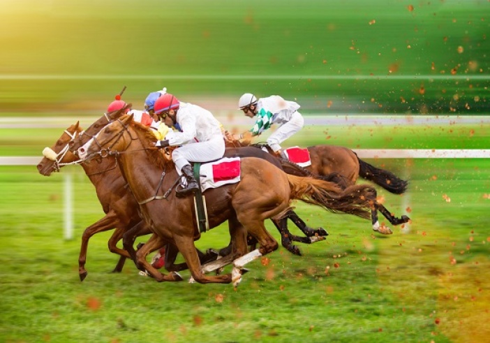 Illustration de l'article : Filière équine et TVA : taux réduit ?