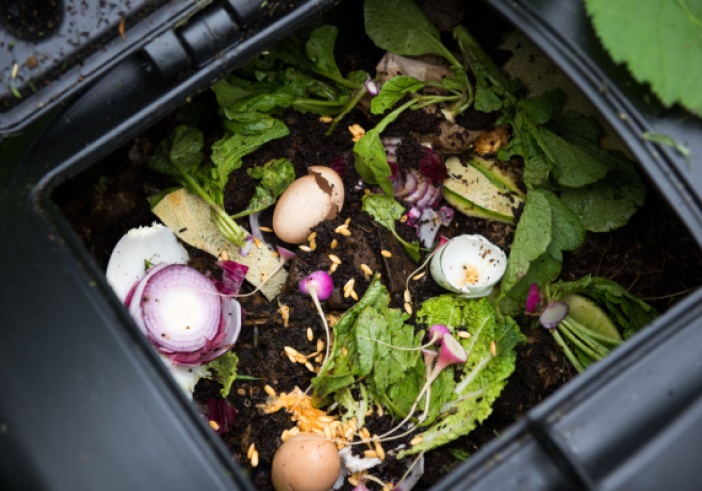 Illustration de l'article : Tri des déchets alimentaires : la nouvelle obligation des particuliers