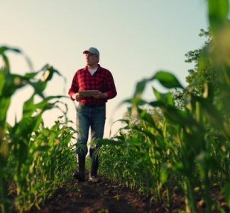 Illustration article : Aides agricoles : de nouveaux montant et de nouvelles conditions