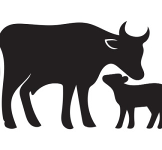 Illustration article : Secteur agricole : le point sur les aides en juin 2026