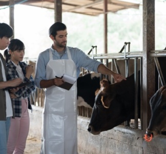 Illustration article : Travailleurs agricoles : une nouvelle aide à la promotion collective agricole