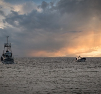 Illustration article : Licence de pêche européenne : rester actif pour conserver ses droits