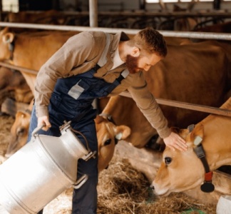 Illustration article : Nouvelles mesures fiscales en faveur du secteur agricole : c’est déjà parti ?