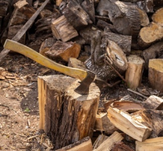 Illustration article : Régime fiscal des exploitations forestières : ça se précise pour le « forfait forestier » !