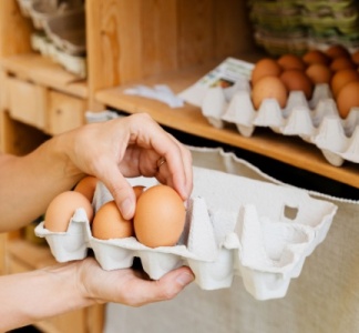 Illustration article : Commercialisation des œufs : précisions pour le marché français