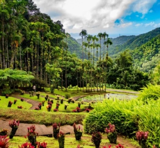 Illustration article : Impôts et taxes en Outremer : ce qui va changer en 2026