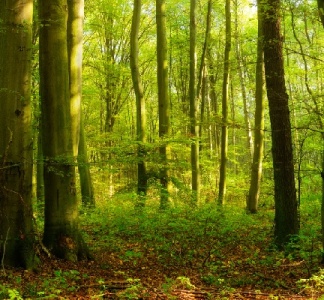 Illustration article : Don et réduction d’impôt : de nouveaux bénéficiaires !