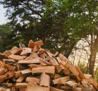 Illustration article : TVA pour le bois de chauffage : une forêt dense !