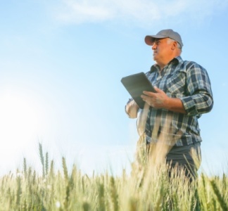 Illustration article : Retraite agricole : le point RCO revalorisé en 2025