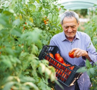 Illustration article : Retraite des non-salariés agricole : alignement sur le régime général