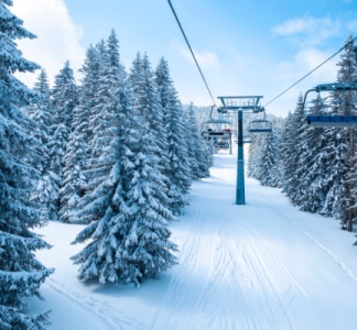 Illustration article : Règle de taxation sur les camions pick-up : ça dépend…