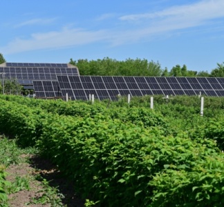 Illustration article : Crédit d’impôt au titre des investissements dans l’industrie verte : c’est bel et bien parti !