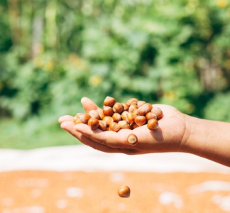 Illustration article : Taxe foncière : producteur-grainier = agriculteur ?