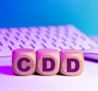 Illustration article : Salarié protégé en CDD : un statut particulier ?