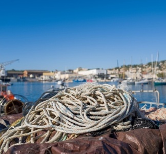 Illustration article : Marins de méditerranée : nouvelles mesures d’accompagnement